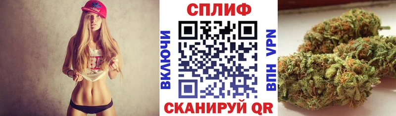 Шишки марихуана THC 21%  Каргат 